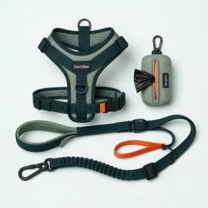 CarryDen LoopSet hands-free harness and leash kit concept image