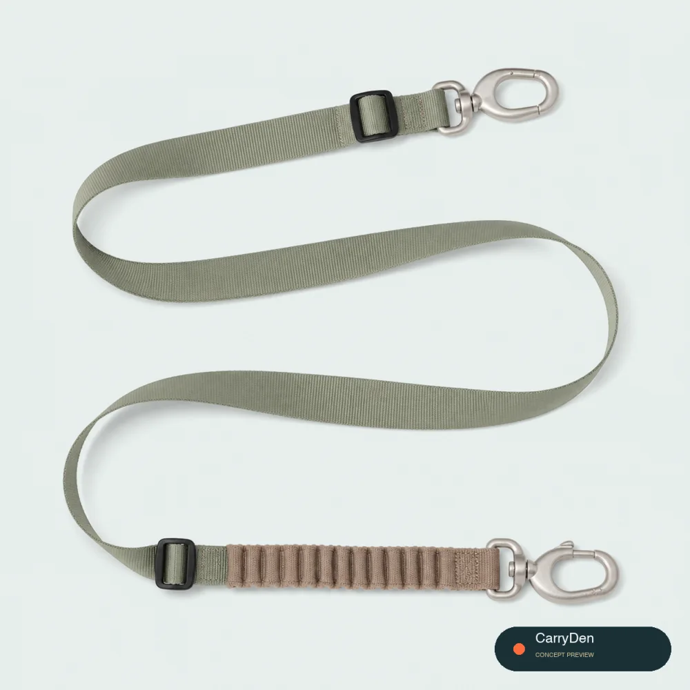 Double-Ended Bungee Dog Leash